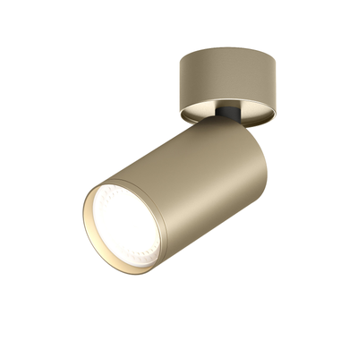 Точечный накладной светильник Denkirs DK2029-GG