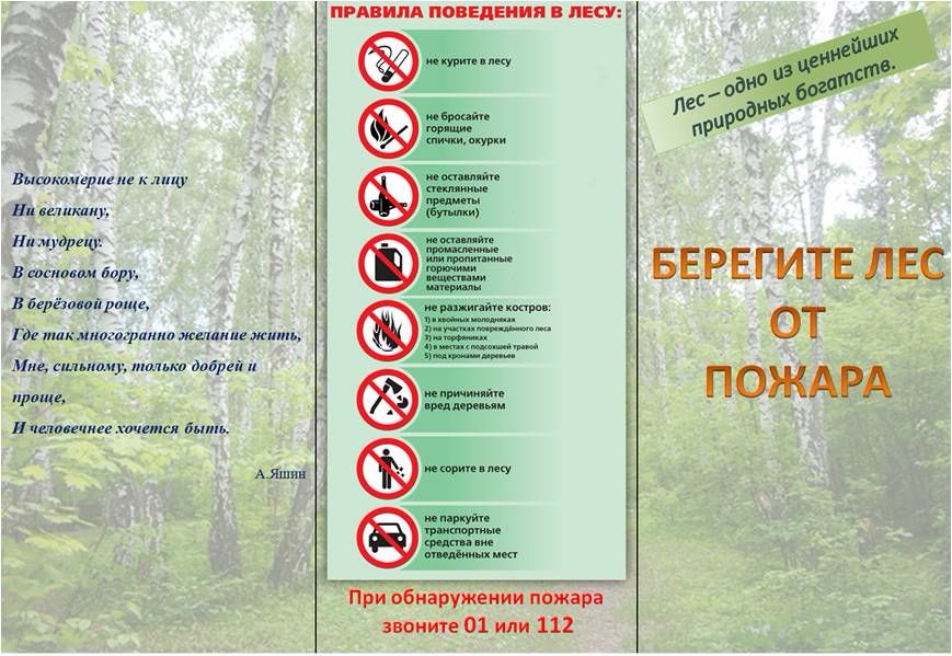 Охрана леса правила