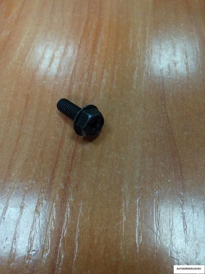 Болт 6*16 черный под кл. 10 и отвертку (уп.100 шт.) В02