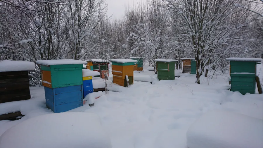 В ожидании солнца