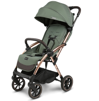 Коляска прогулочная и автокресло Leclerc Influencer XL Army Green