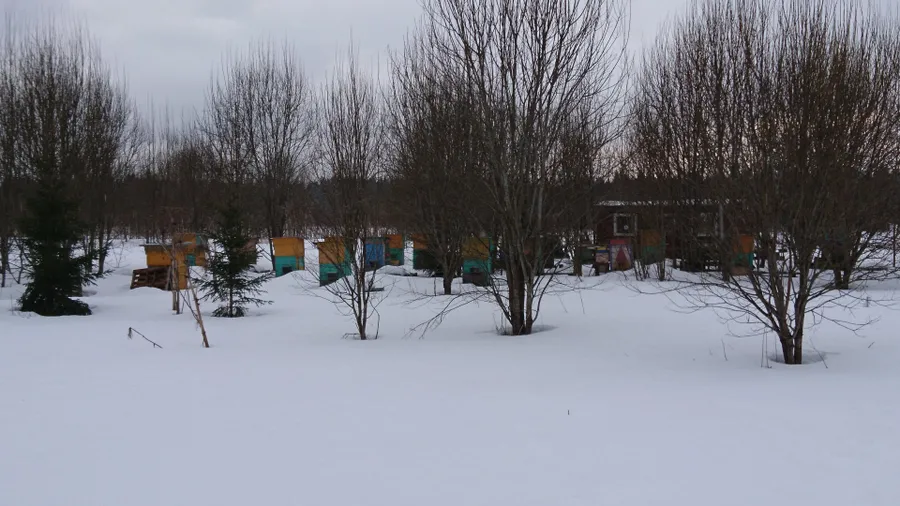 Начало весны