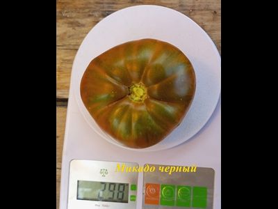 Томат Микадо черный