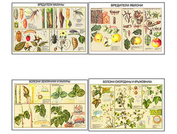 Плакаты ПРОФТЕХ "Вредители и болезни плодово-ягодных культур" (11 пл, винил, 70х100)