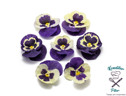 Виола обезвоженная Lilac sunset - Сиреневый закат, 3 шт