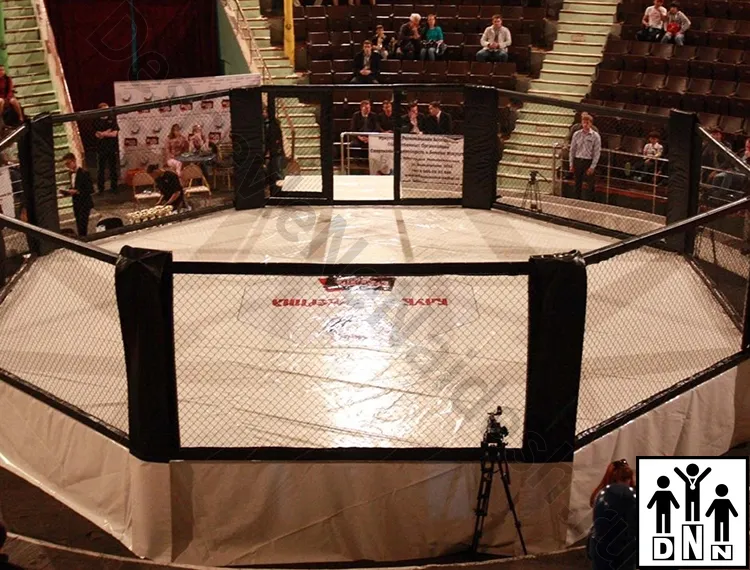 октагон ufc