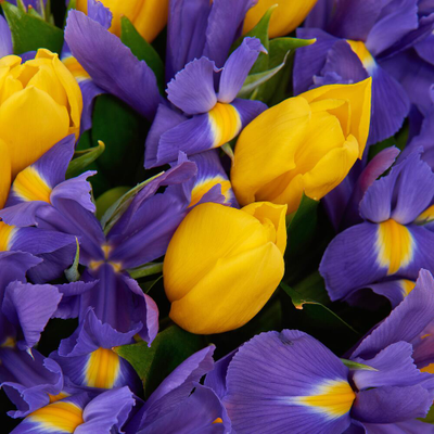 Букет "Starfall"