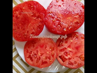 Томат Пандероза розовый Хендерсона (Henderson's Pink Ponderosa)