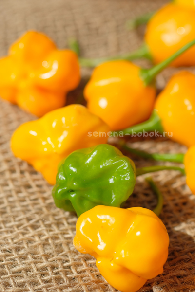 Перец острый Dulce Sol (Дольче Сол), 10 шт