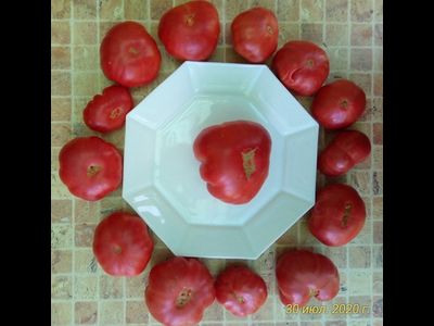Томат Марманде розовый (Marmande pink)