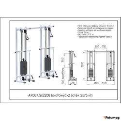 Блочный кинезиотренажер Биотонус-2 AR087 2х2200