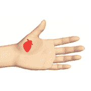 Зона сердца Су Джок. ДЭНАС ПКМ [НЕЙРОДЭНС] 