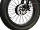Электровелосипед E-motions Fat 20 Double v2