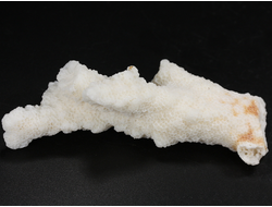 Коралл белый, коллекционный образец, Китай (89*37*25 мм, 40 г) №37700