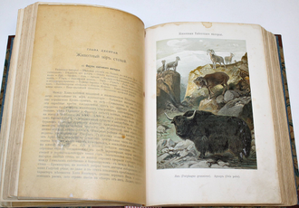 Кобельт В. Географическое распределение животных в холодном и умеренном поясах северного полушария. СПб.: Изд. А.Ф. Девриена, 1903.