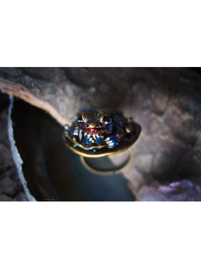 "Ночной Светлячок Кваказура. Вавилонские сказки", волшебное кольцо с лягушкой и опалом