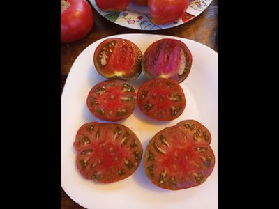 Томат Париж (Paris)