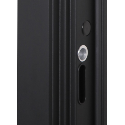 Стальная дверь   Агат с зеркалом. Заказная модель.