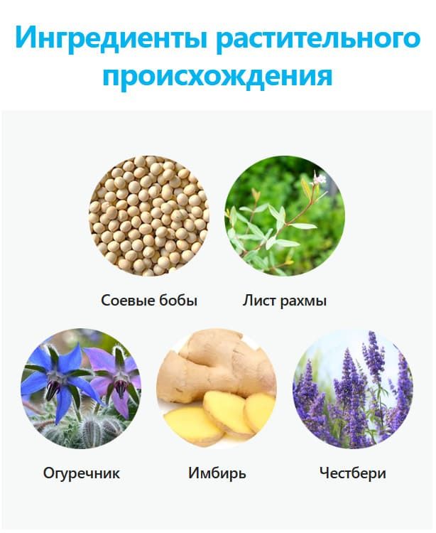 Экстракт листьев рафумы в составе женского комплекса Атоми