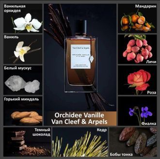 Van Cleef & Arpels - Orchidee Vanille (2009)