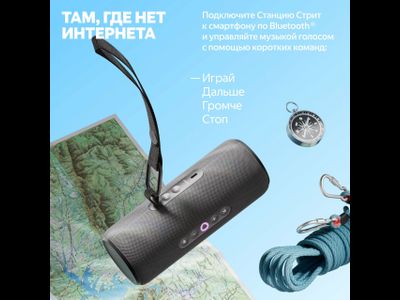 Яндекс Станция Стрит (Черная)