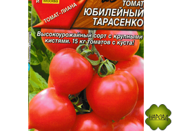 Томат "Юбилейный тарасенко" (высокорослый, ароматный)