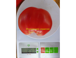 Томат Итальянские сердечки