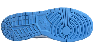 Nike Air Force 1 SB Dunk Low Unc