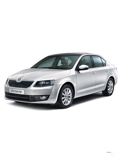 Octavia III (A7) 2013-2020 г.в.