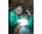 Оперативное лечение при варикозной болезни вен нижних конечностей