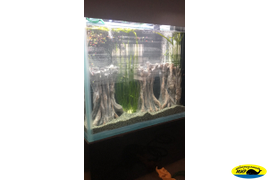 ПЕРЕВОЗКА АКВАРИУМА. ГОСТИНИЦА ДЛЯ РЫБОК.