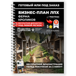 Бизнес-план для ЛПХ: разведение кроликов под соцконтракт