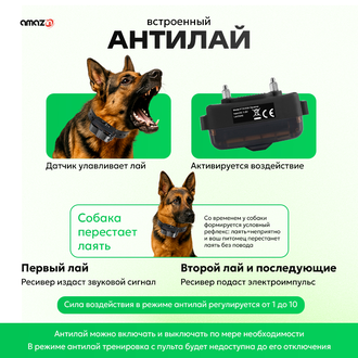 Электронный ошейник для собак PTS1200