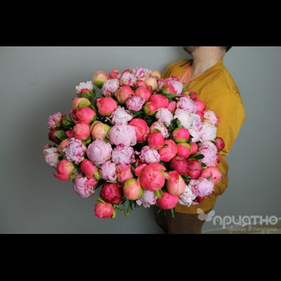 БУКЕТ МОНО ЦВЕТОВ  № 468