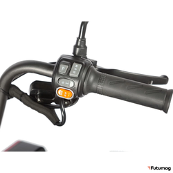 Электротрицикл Wanshida LC-F200 60V 1000Вт красный