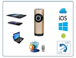 Видеоняня /WiFi видеокамера панорамная с DVR (fish_G), HD)