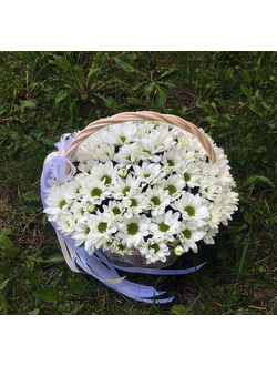 Композиция №131