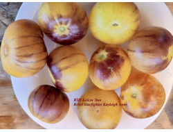 Томат Восставший Звездный Истребитель Кэйли Энн (Rebel Starfighter Kayleigh Anne)