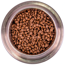 Monge Dog Speciality Line Monoprotein Mini (Монж) для взрослых собак мелких пород, из лосося с рисом 800 г