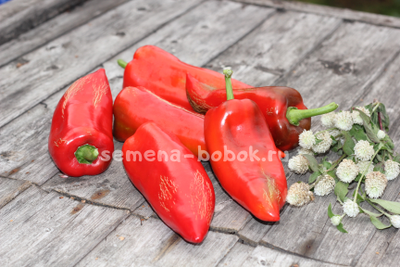 Перец сладкий Sprit Paprica (Сприт Паприка), 10 шт.