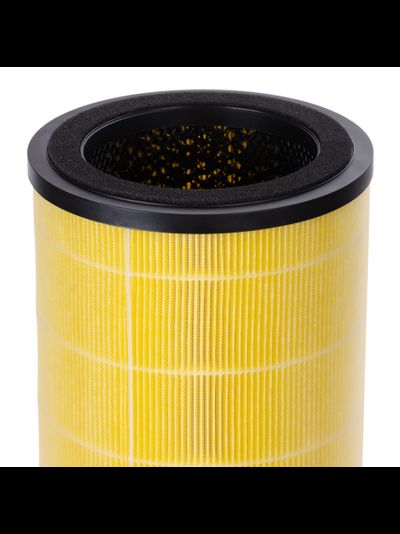 Фильтр Electrolux FAP-2050 ANTI ALLERGY