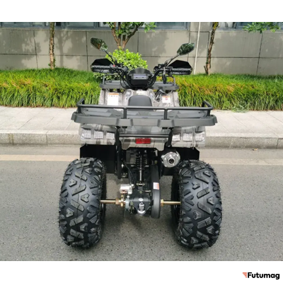 Бензиновый квадроцикл MOTAX GRIZLIK T200 LUX коричневый
