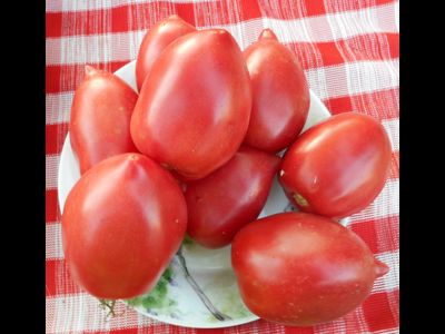 Томат Розовый фламинго (украинское)