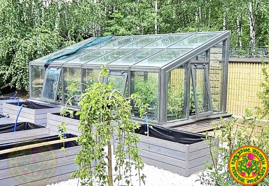 Односкатная теплица по индивидуальному заказу