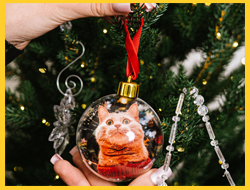 Ёлочные шары с фото