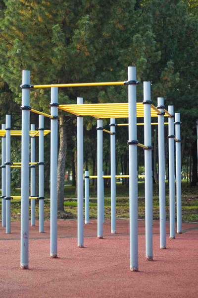 Спортивное оборудование с рукоходами Romana 501.17.01