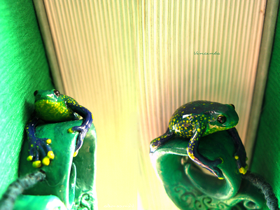 Тропическая лягушка. Необычный кулон - подвеска в виде лягушки (кулон-лягушка) из полимерной глины