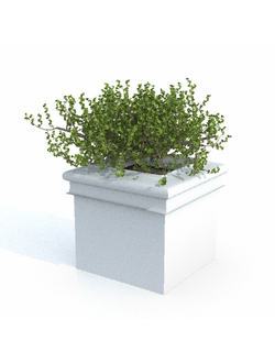 вазоны Вазон 002