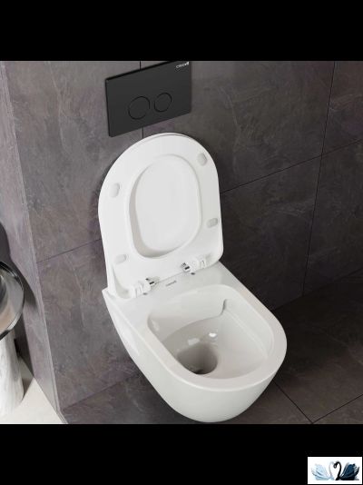 Чаша унитаза Creavit Terra TP329-11CB00E-0000 (TP329.00100), подвесная, безободковая