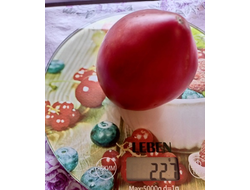 Томат Трюфельное сердце